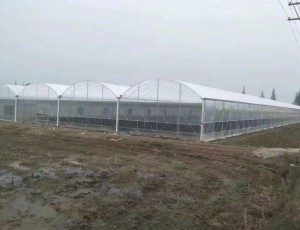 玻璃溫室的優(yōu)點(diǎn)有哪些？