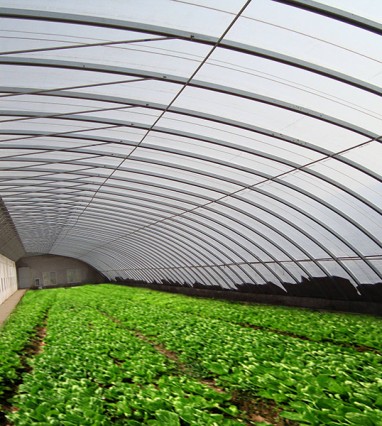 夏季溫室大棚降溫的方法有哪些？