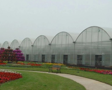 連棟薄膜溫室