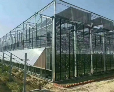 玻璃溫室