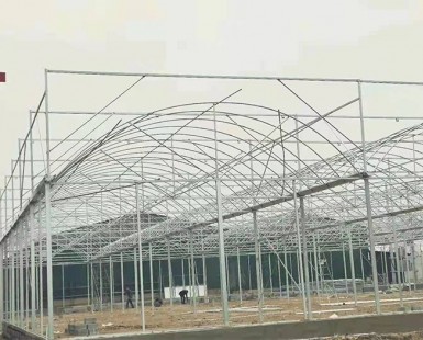 溫室骨架