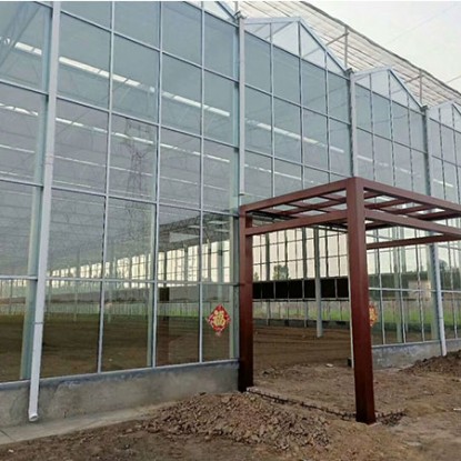 玻璃大棚