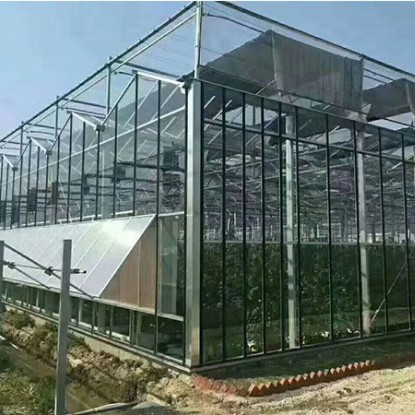 玻璃大棚