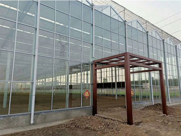 玻璃大棚