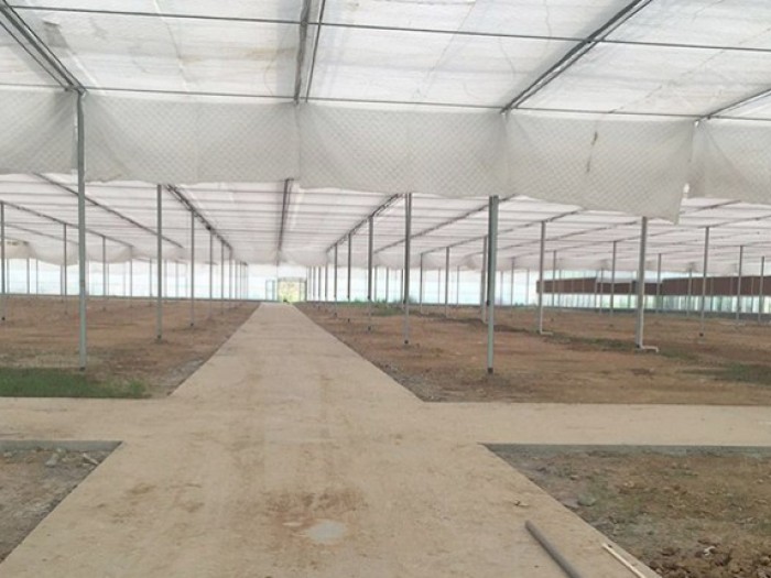 溫室內(nèi)保溫系統(tǒng)